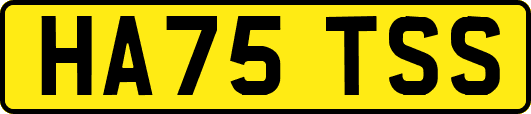 HA75TSS