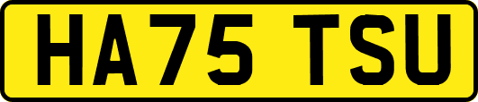 HA75TSU