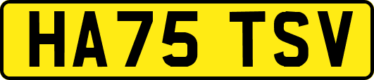 HA75TSV