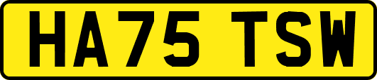 HA75TSW