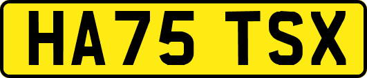 HA75TSX