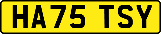 HA75TSY
