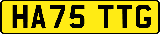 HA75TTG