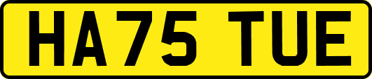 HA75TUE