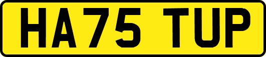 HA75TUP