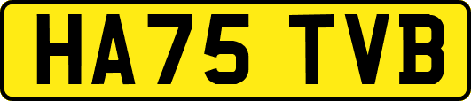 HA75TVB