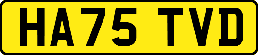 HA75TVD