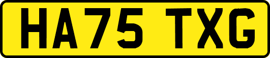 HA75TXG