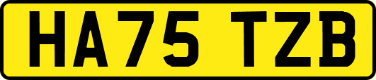 HA75TZB