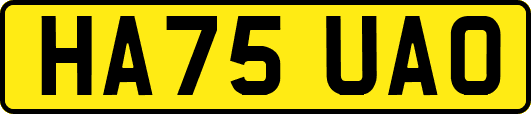 HA75UAO