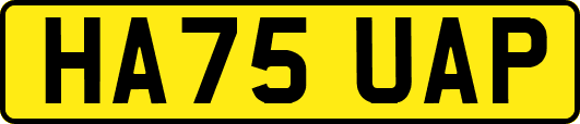 HA75UAP