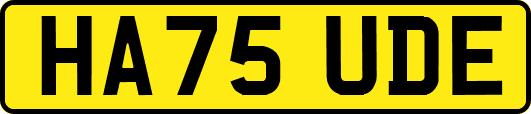 HA75UDE