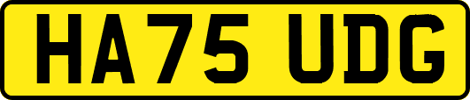 HA75UDG