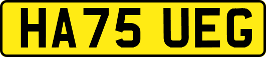 HA75UEG