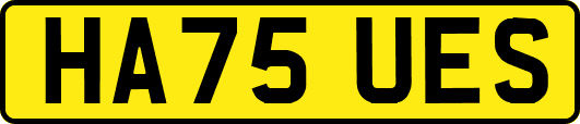 HA75UES