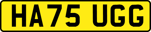 HA75UGG
