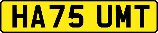 HA75UMT