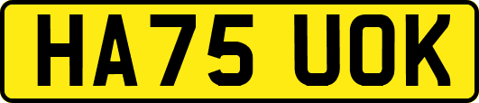 HA75UOK