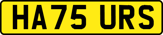 HA75URS