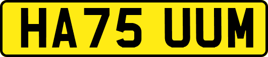 HA75UUM