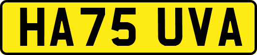 HA75UVA