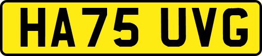 HA75UVG
