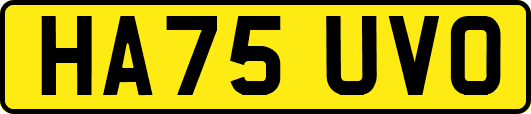 HA75UVO