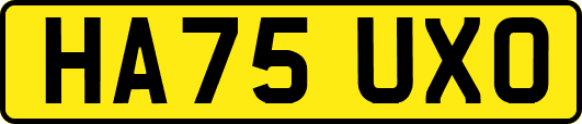 HA75UXO