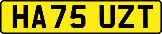 HA75UZT