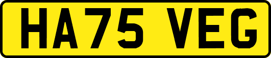 HA75VEG