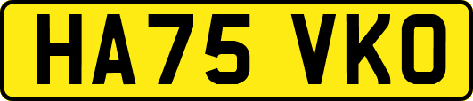 HA75VKO