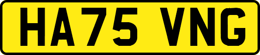 HA75VNG