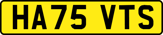 HA75VTS