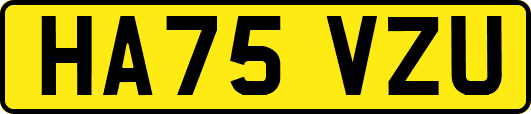 HA75VZU