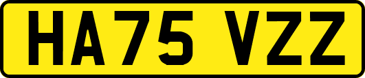 HA75VZZ