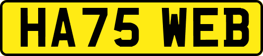 HA75WEB