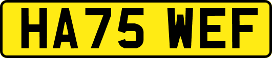 HA75WEF