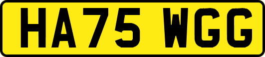 HA75WGG