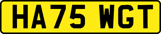HA75WGT