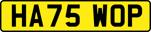 HA75WOP