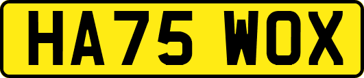 HA75WOX