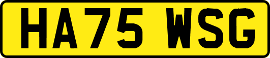 HA75WSG
