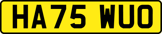 HA75WUO