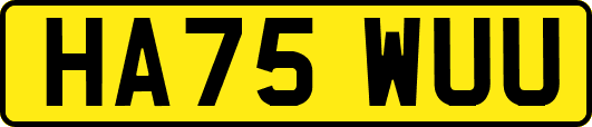 HA75WUU