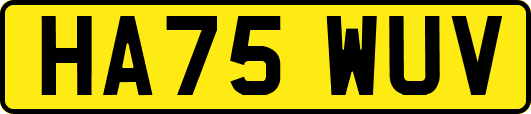 HA75WUV