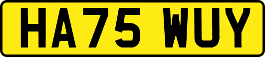 HA75WUY