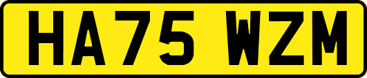 HA75WZM