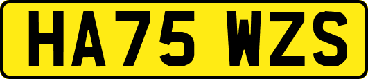 HA75WZS