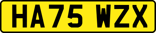 HA75WZX