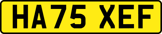 HA75XEF
